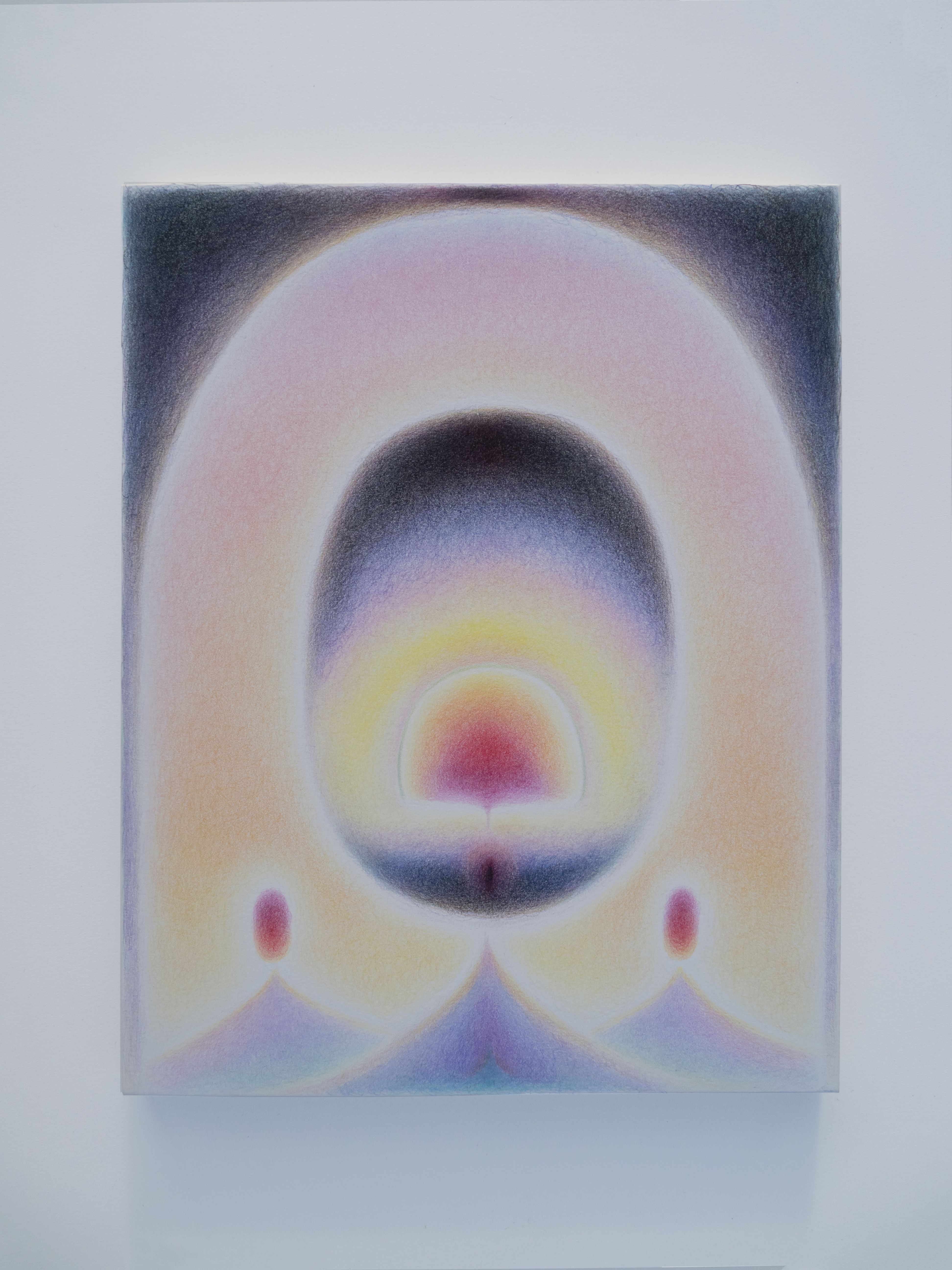 Abdomen, Color pencil on paper mount on board, 2023