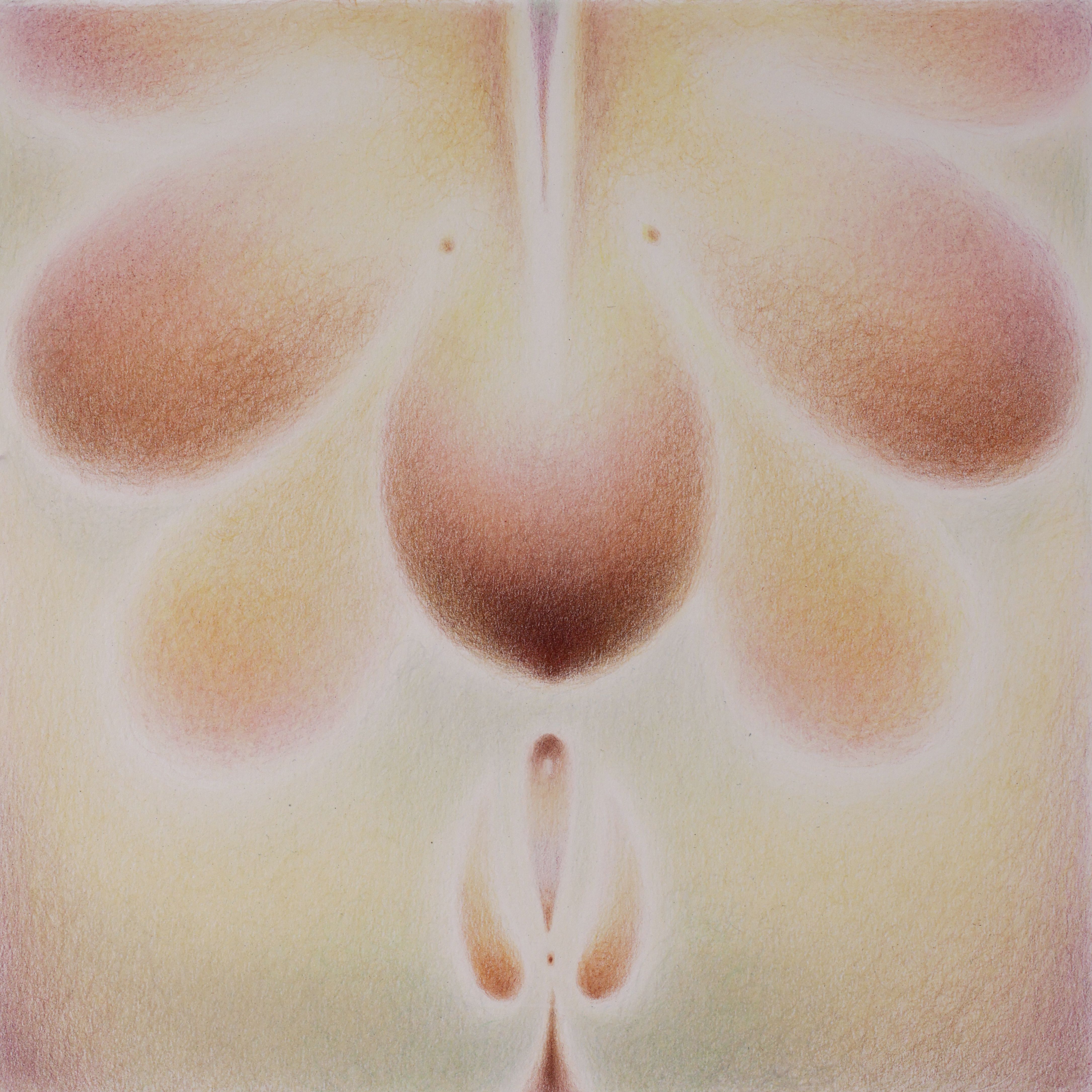 Every Flower that Opens Its Sweet Eye IV, Color pencil on paper mount on board, 2023