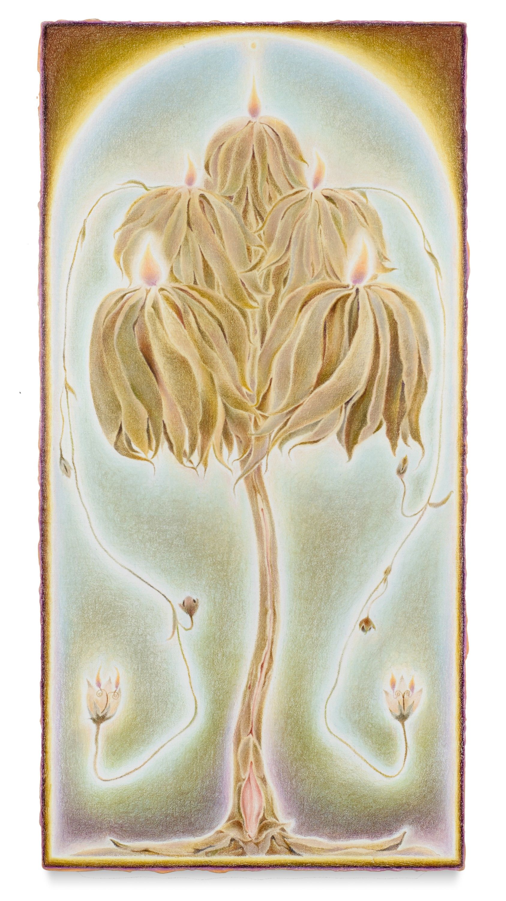 Honey Drudger I, Oil and color pencil on linen over panel, 2025
