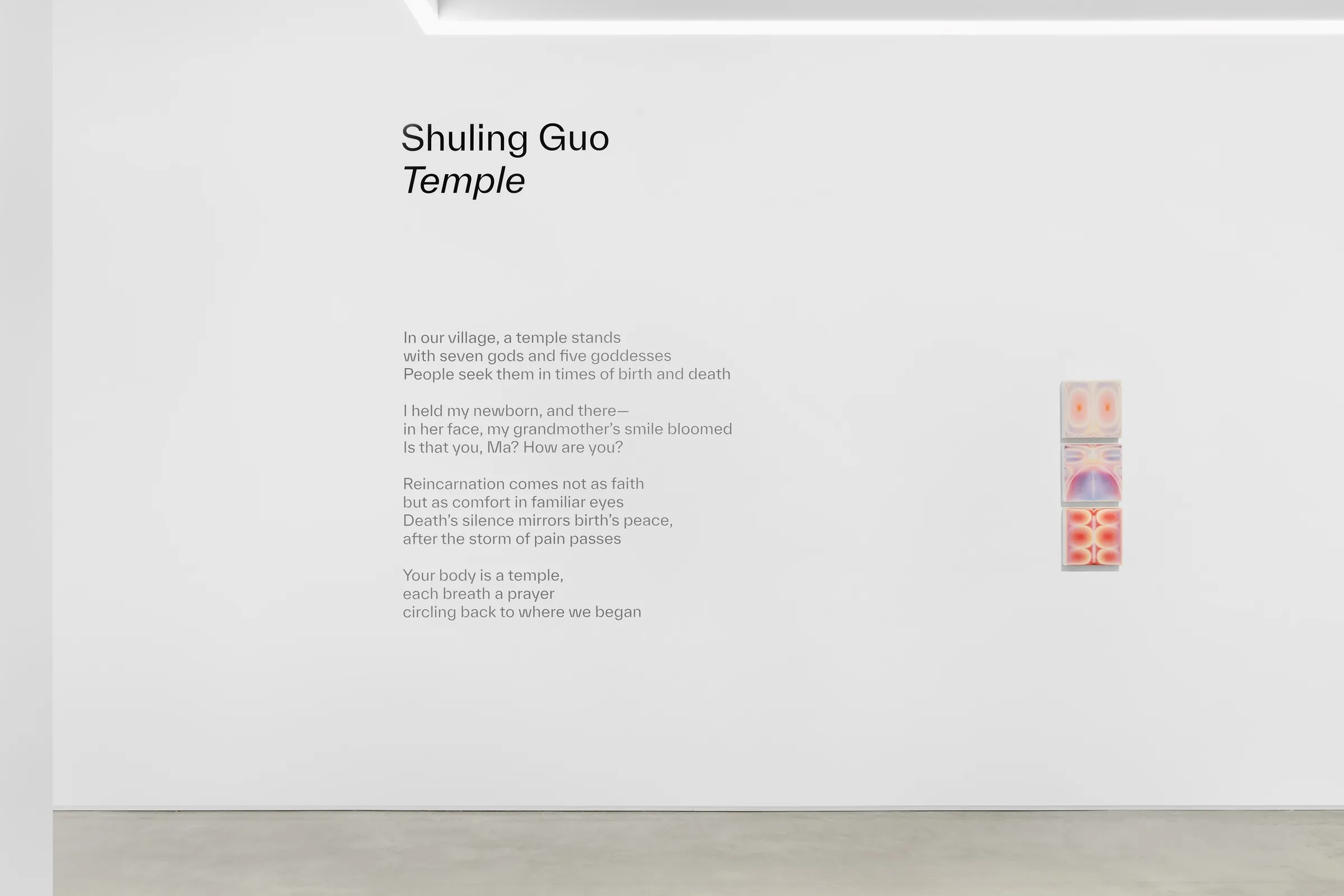 Installation view of Temple, Mindy Solomon Gallery, 2025