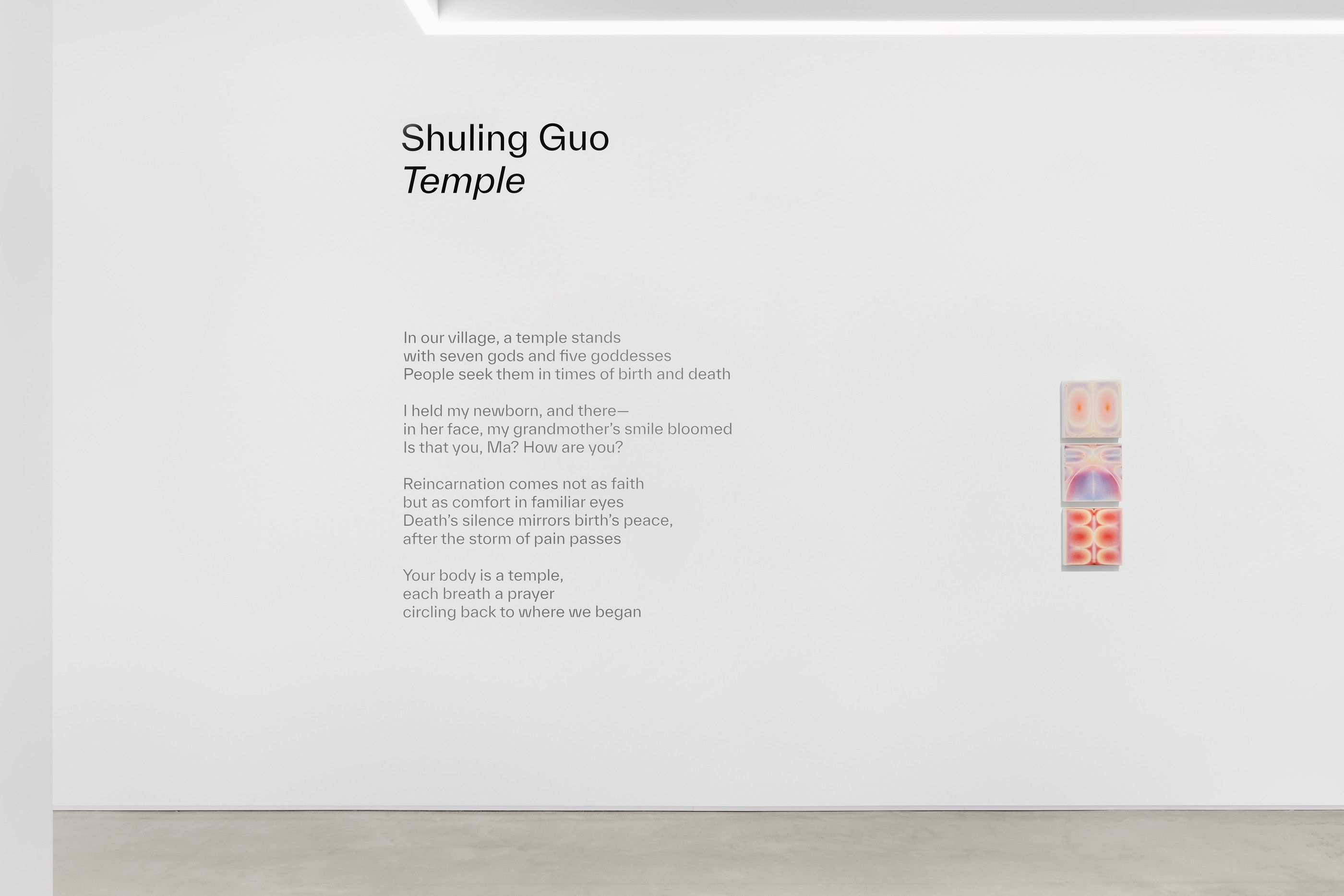 Installation view of Temple, Mindy Solomon Gallery, 2025 (1 of 8)