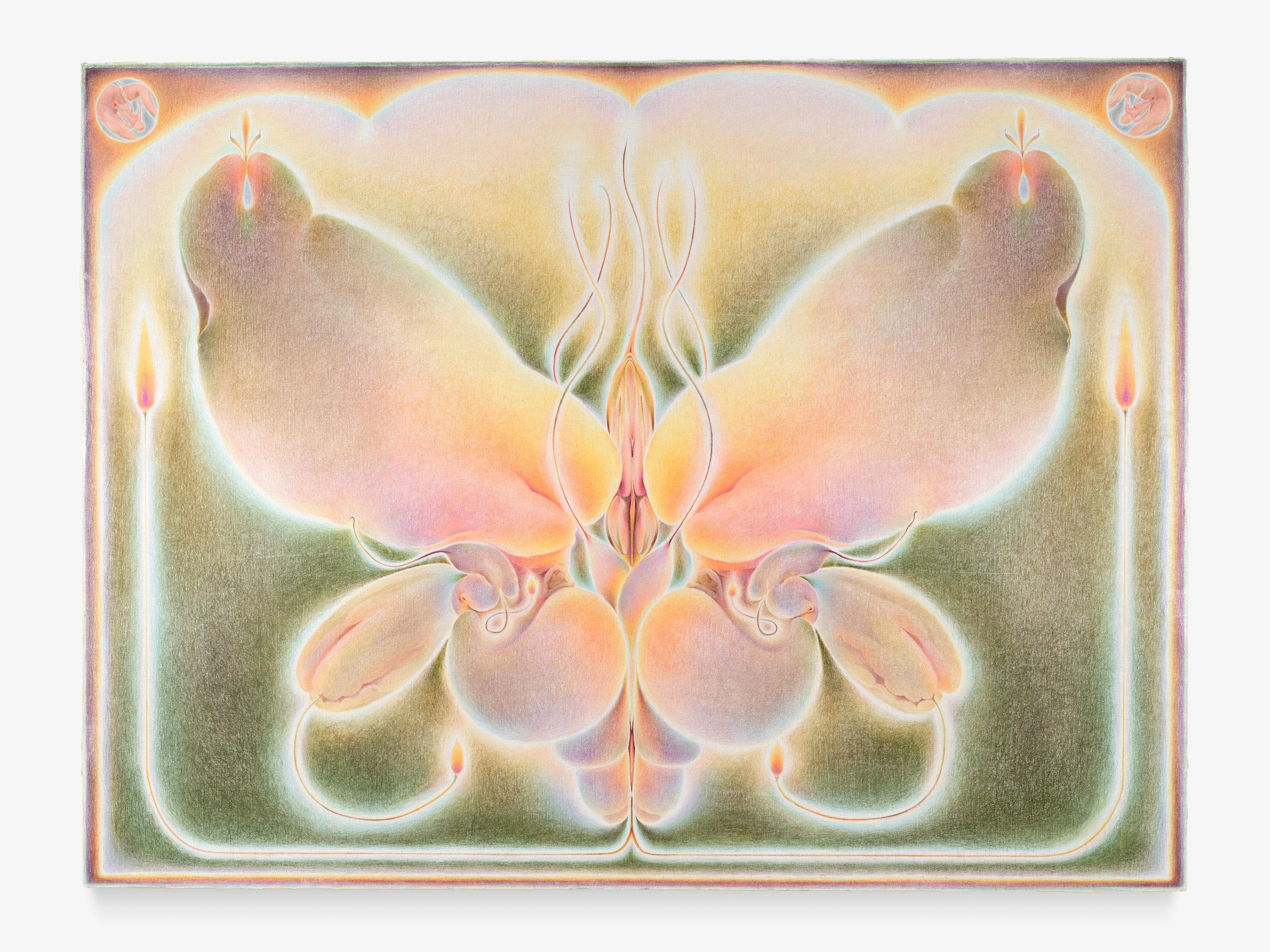 Pelvis, Oil and color pencil on linen over panel, 2025