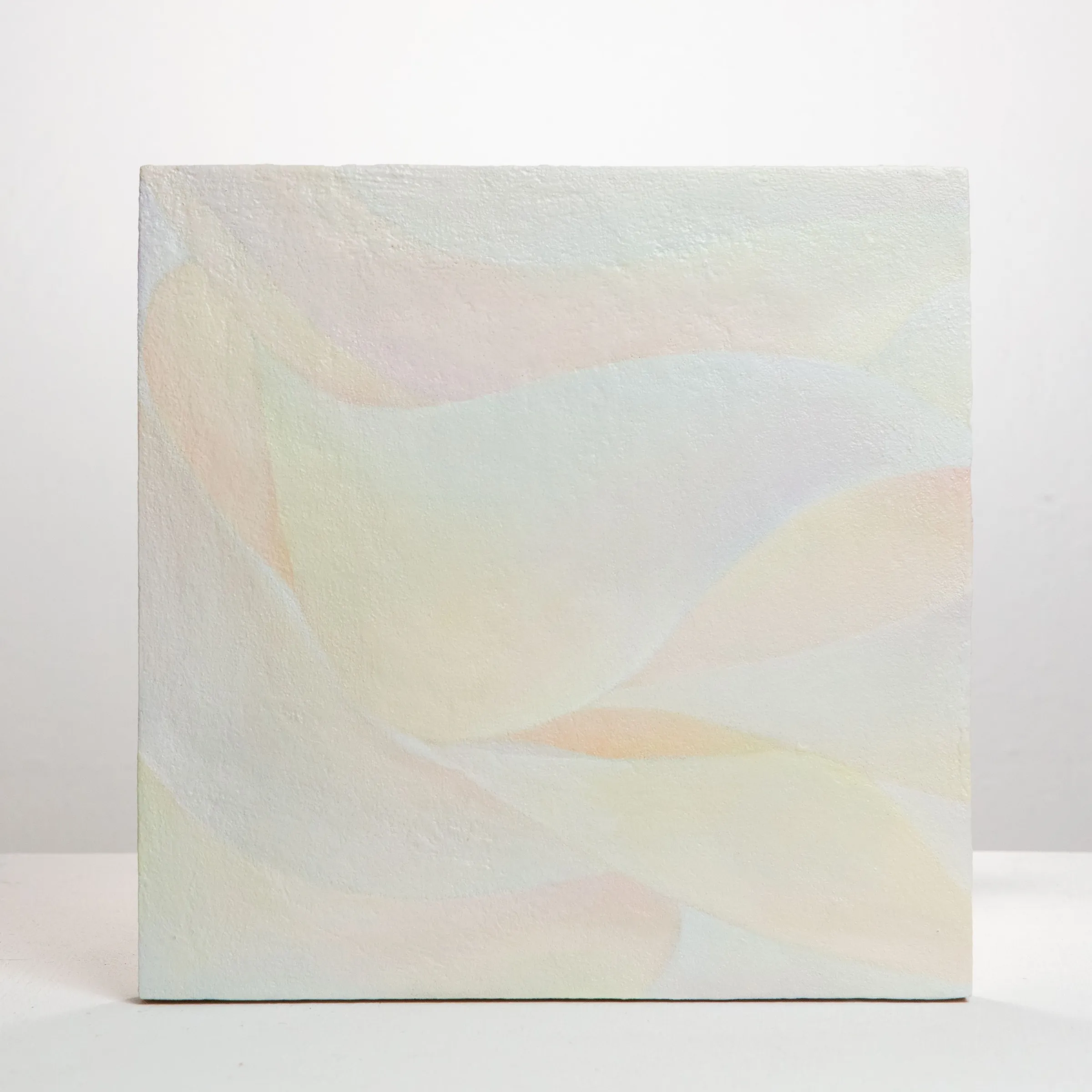 Skin 2, Oil on board, 2020