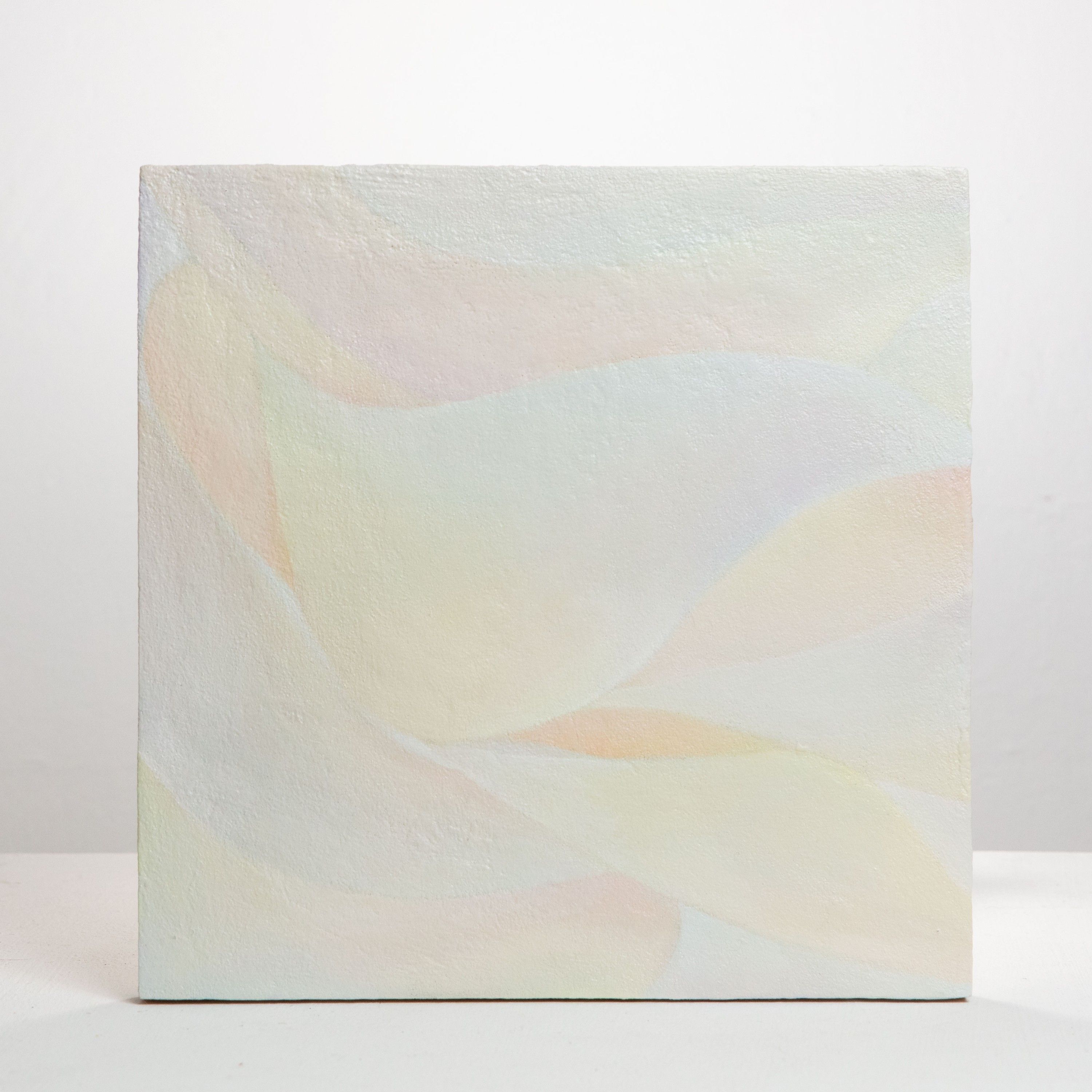 Skin 2, Oil on board, 2020