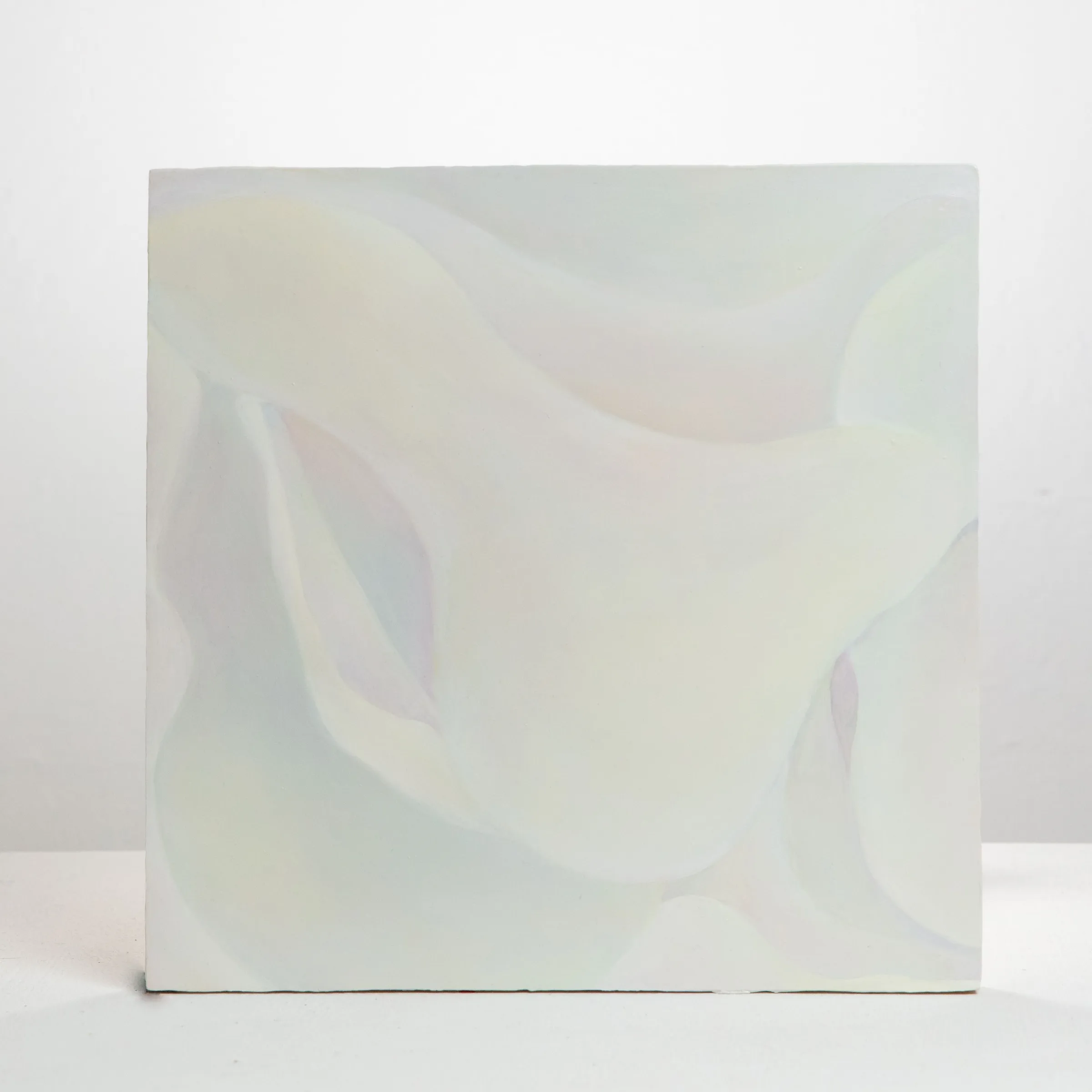 View next work: Skin 3