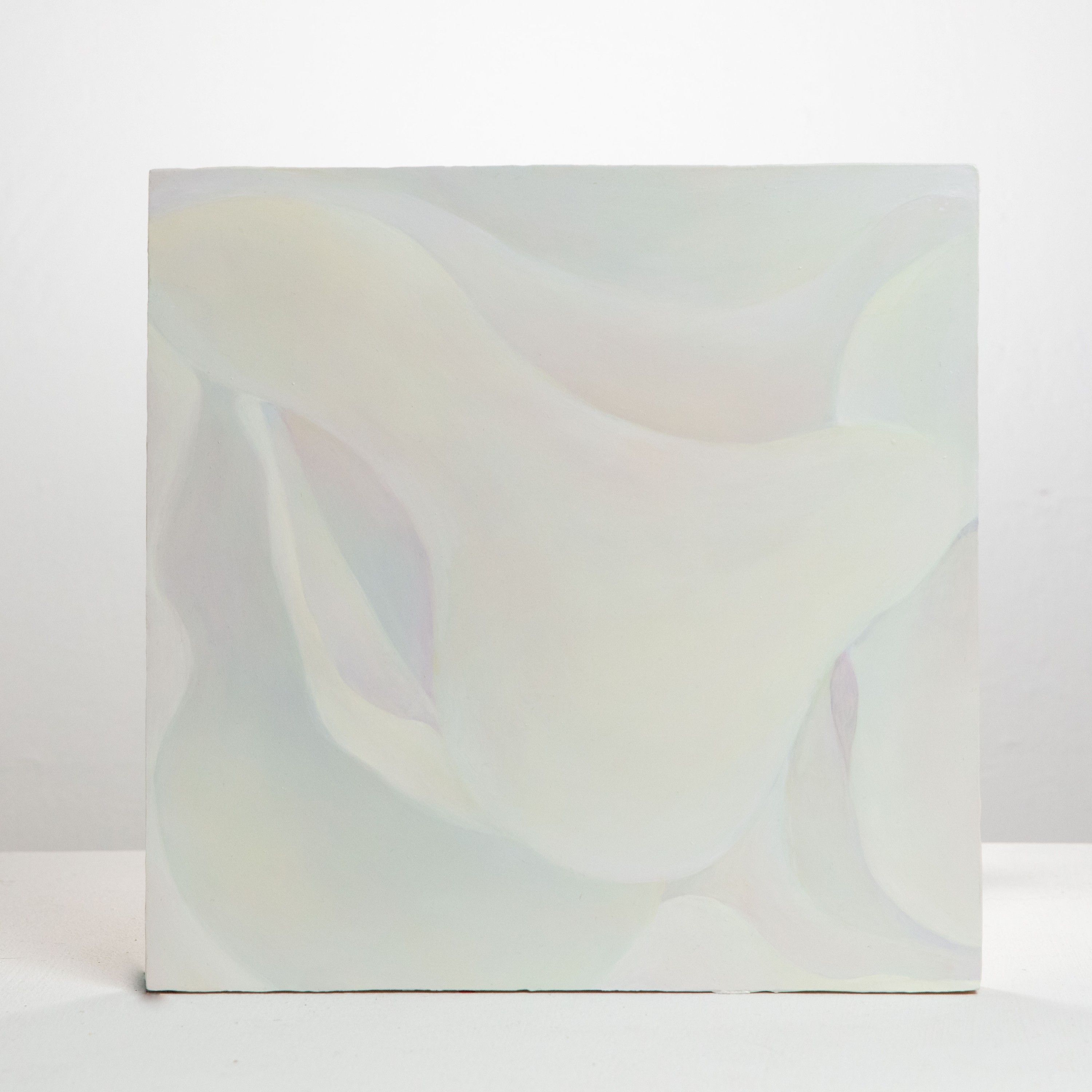 Skin 3, Oil on board, 2020
