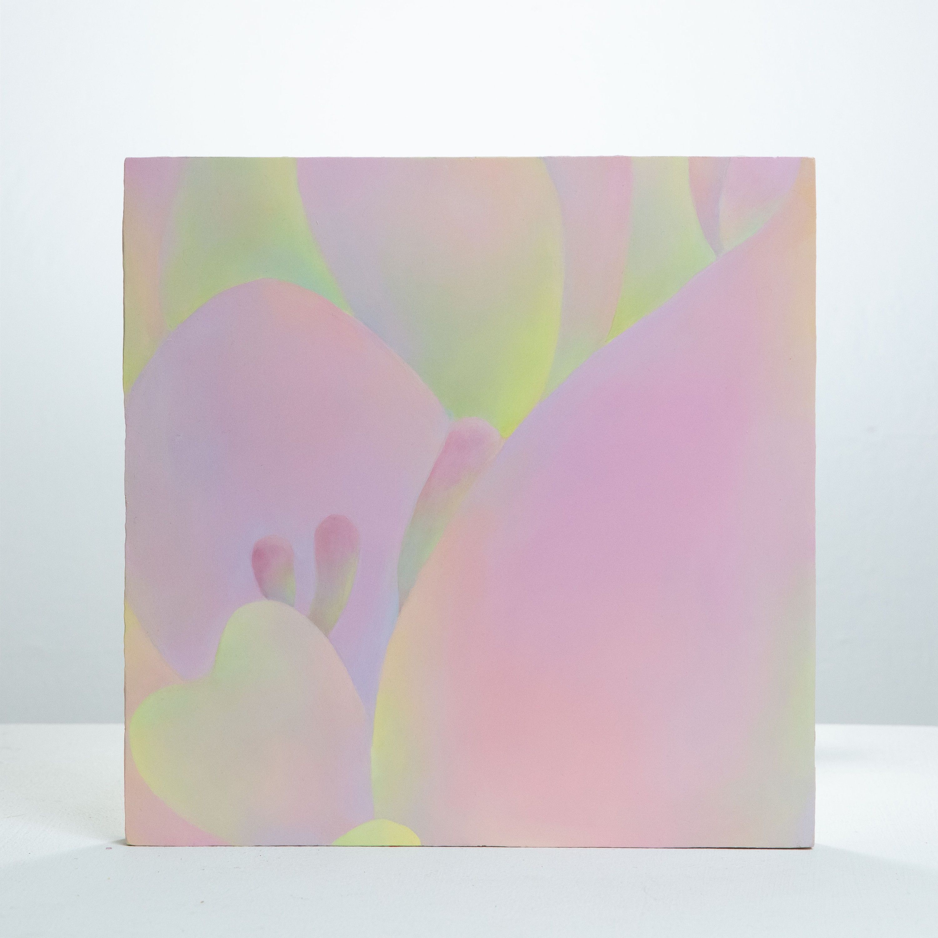 Skin 6, Oil on board, 2020