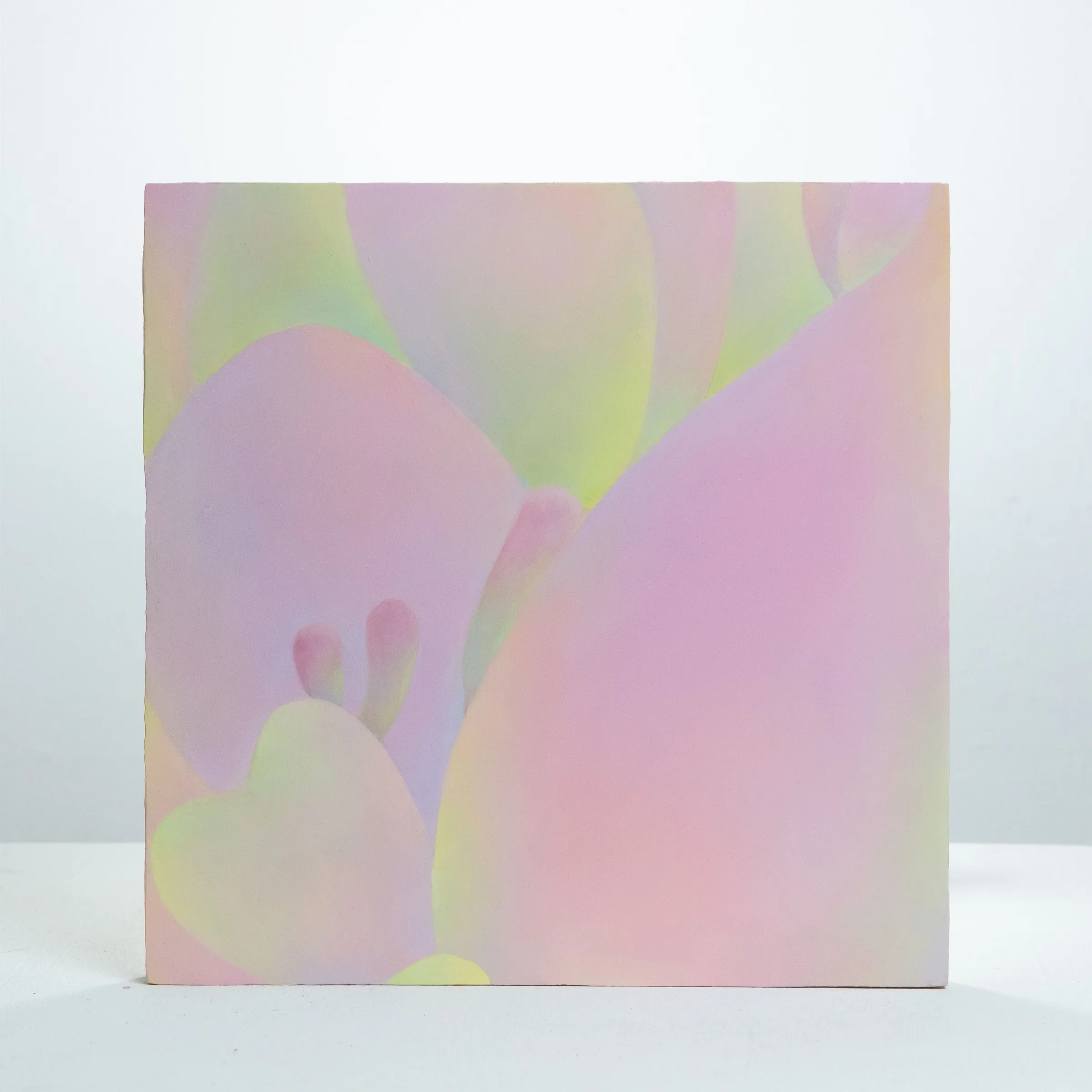 View next work: Skin 6