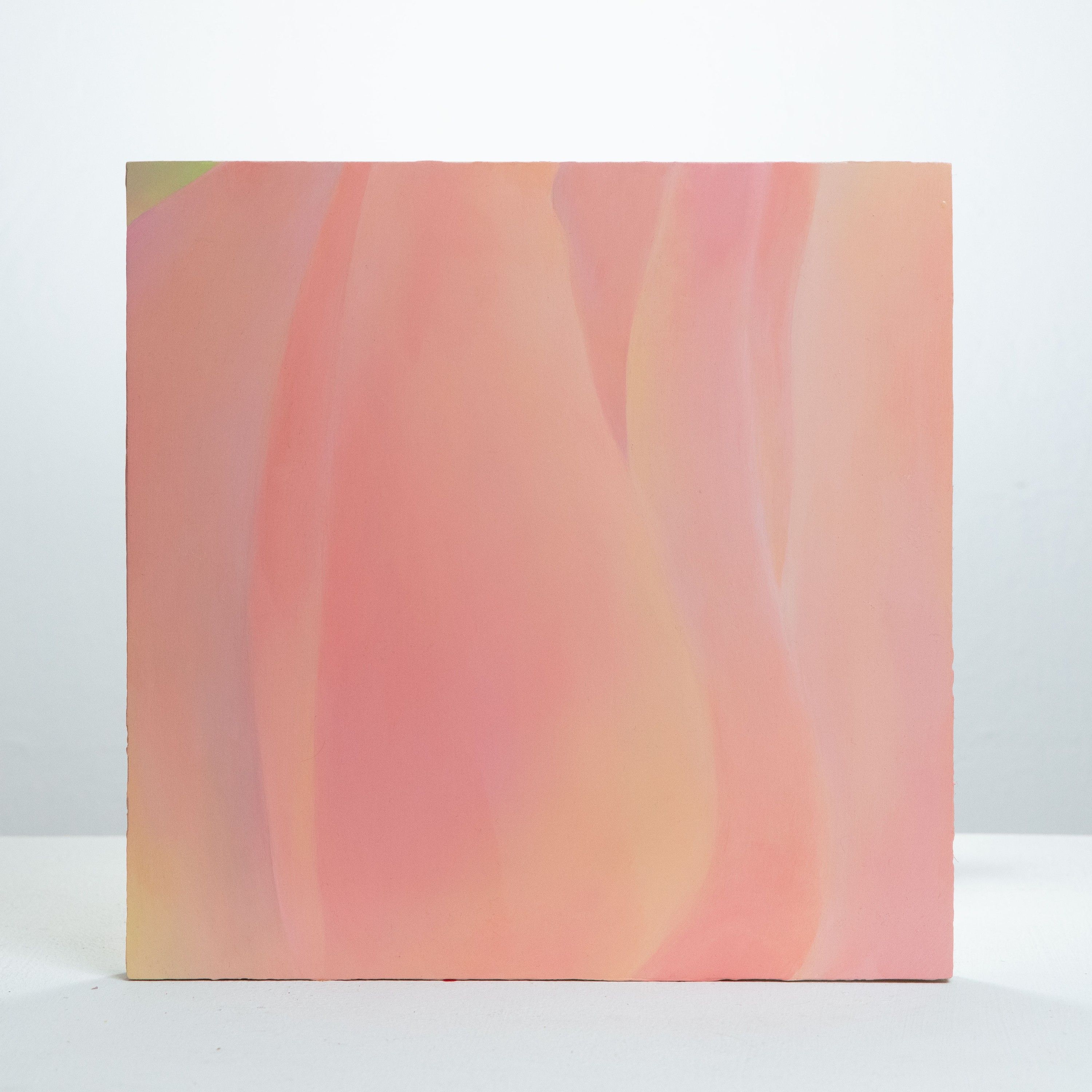 Skin 7, Oil on board, 2020