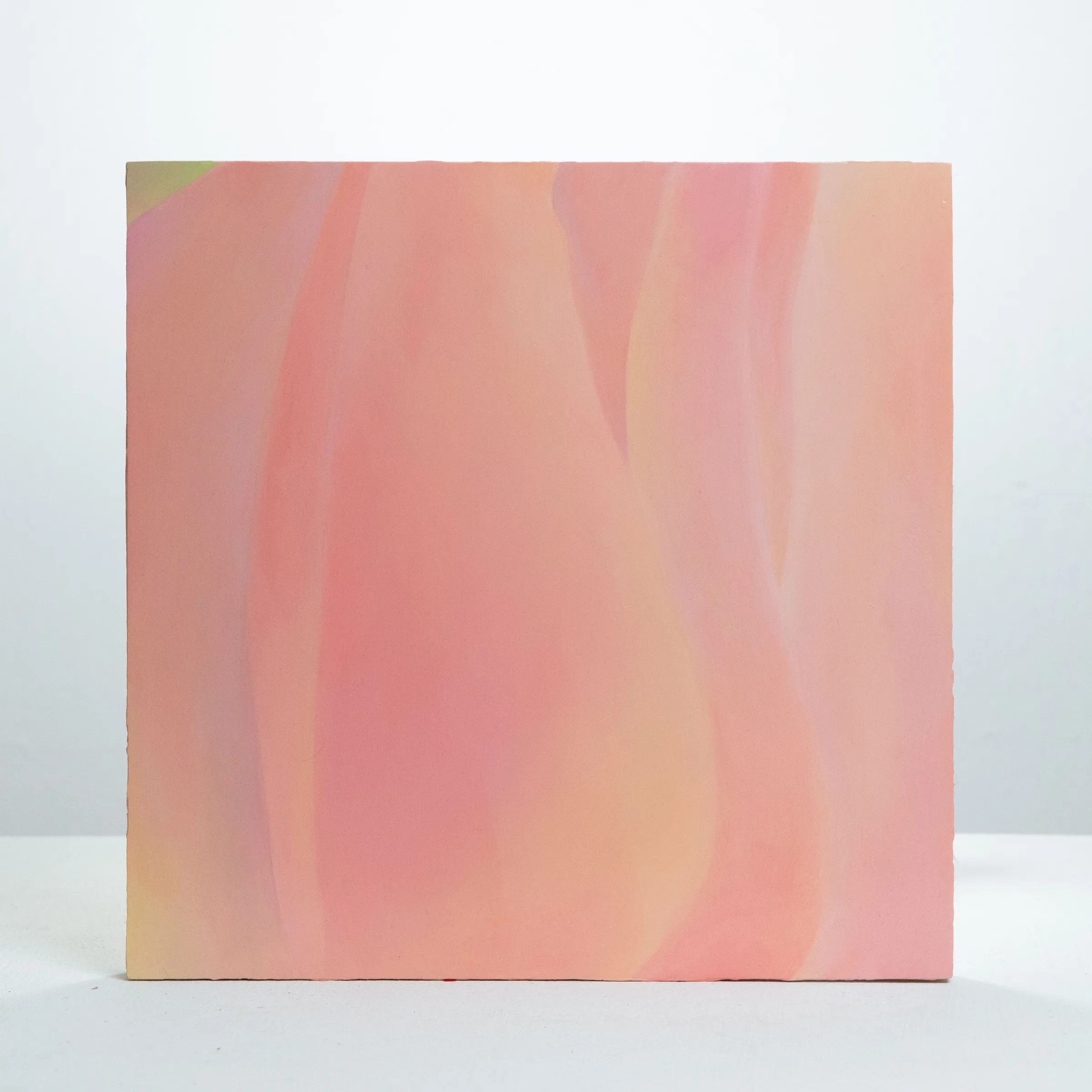Skin 7, Oil on board, 2020