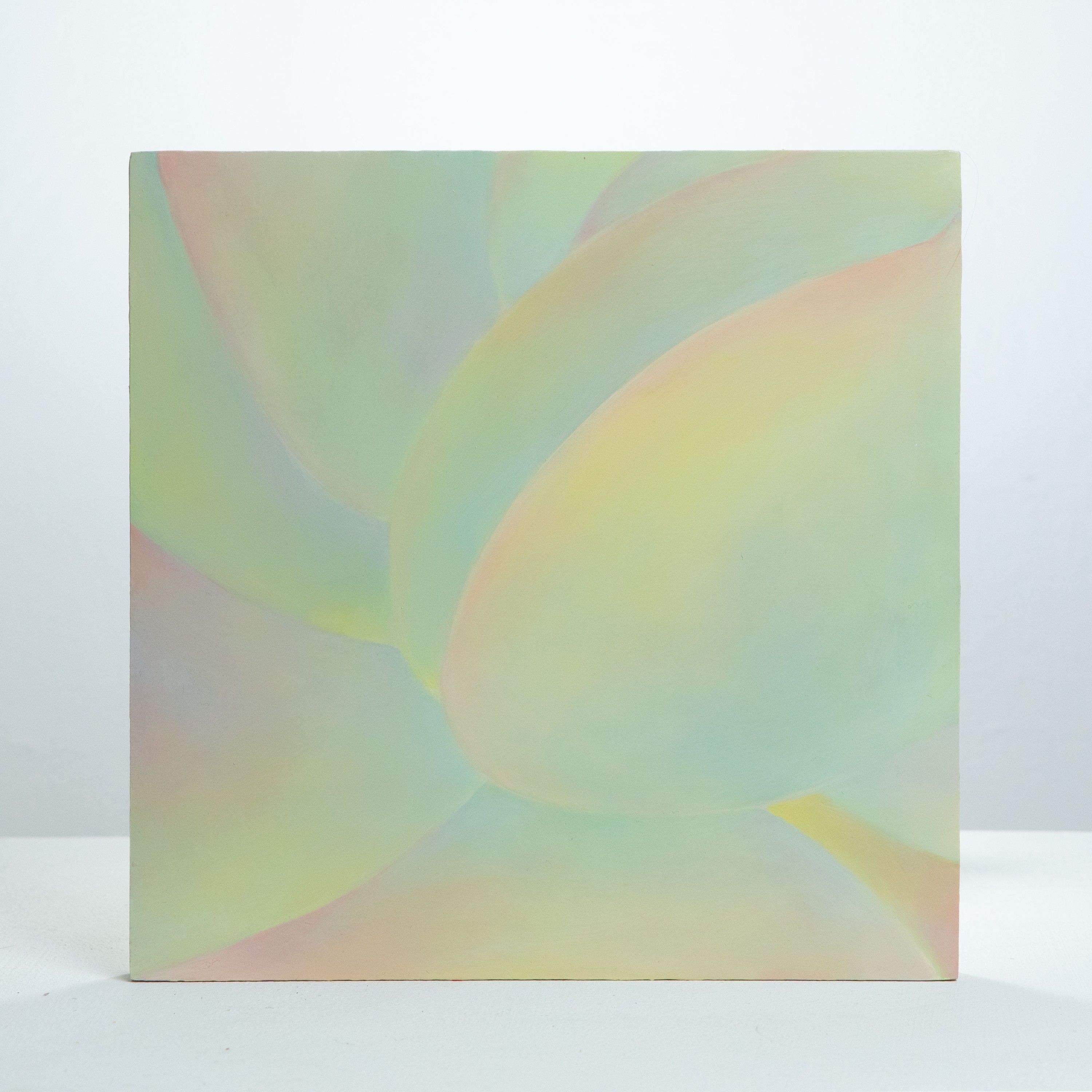 Skin 8, Oil on board, 2020