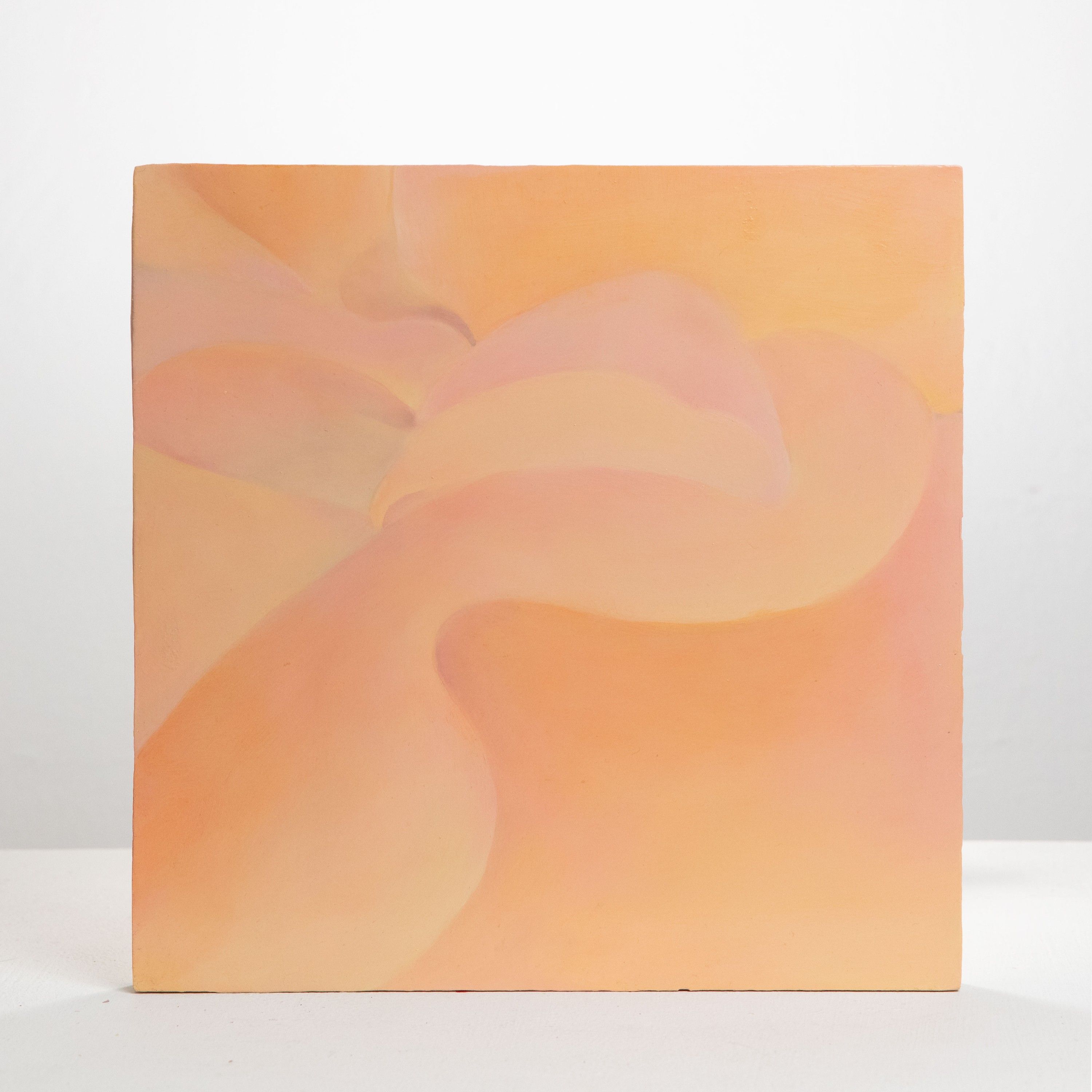 Skin 9, Oil on board, 2020